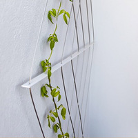 Garden Wire Trellis