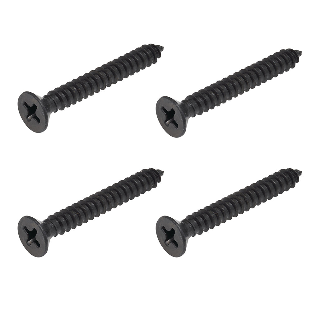 BlackEtch Self Tapping Screw CSK Head Phillips Drive 14g x 25mm (1) - 304 Grade Stainless Steel  - 4 PACK for RHS Posts